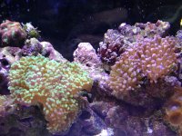 IMG_2153.jpg