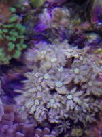 IMG_2139.jpg