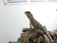 IMG_0564.jpg