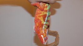DSCN0479.jpg