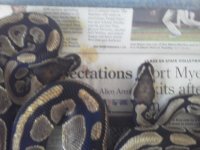 IMG_20121127_085546.jpg