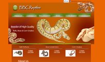 bbcreptiles.jpg
