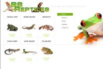 bs-reptiles.jpg