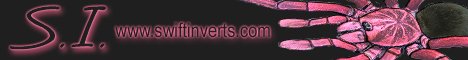 sibanner9.jpg