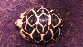 IMG_20121218_155618_062.jpg