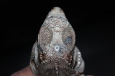 2013 037.jpg