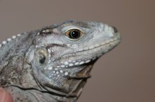 2013 039.jpg