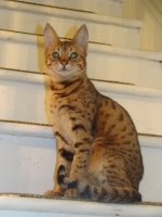 DSC06601.jpg