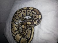 20130326_225351.jpg