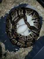 20130415_180716.jpg