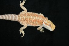 IMG_9364.jpg