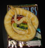 albino breeder.jpg