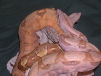 a14april2006 029.jpg