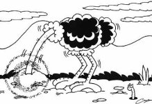 ostrich.jpg