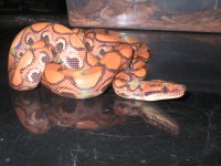 Picture 001.jpg