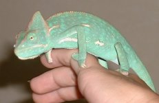 7-20-03 013.jpg