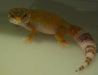 IMG_0376.JPG