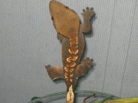 Camera 077.jpg