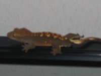 Camera 081.jpg