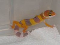 2005 Babies 022.jpg