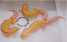 RERSTrio (Small).jpg