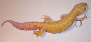 RERSMeholdback (Small).jpg