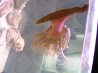 dscn1869.jpg