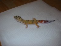 img_0025.jpg