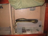 Img_0228.jpg