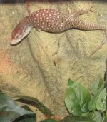 IMG_2359.jpg