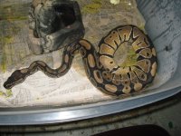 IMG_0705.jpg
