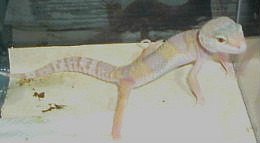 2005_0726Image0003.JPG