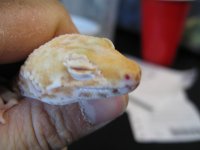 IMG_1468.jpg