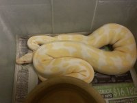 20120920_175919.jpg