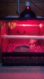 2013-01-05_13-09-03_728.jpg