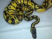 20130206_170704.jpg