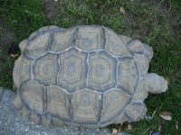 DSCF8861.jpg