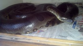 IMG_20130326_144748_590.jpg