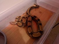 IMG_20130415_230903.jpg