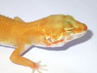 104f.jpg