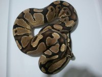 2011-10-26 20.56.16.jpg