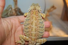 DSC_8749.jpg