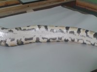 2012-12-06 03.20.39.jpg