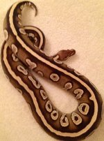 Mojave.jpg