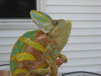 IMG_2399.jpg
