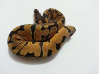 20121125_185407.jpg