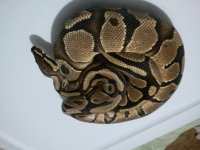 2011-11-13 07.41.41.jpg
