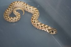 IMG_1765.jpg