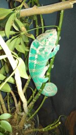 IMG_20130424_183042_703.jpg