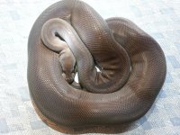 20120920_163050.jpg